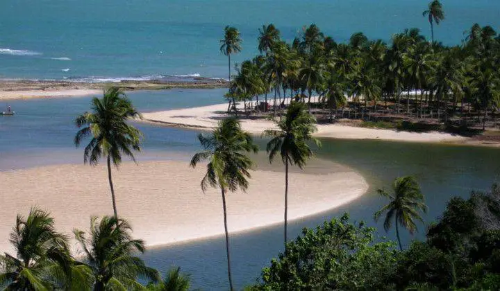 Alagoas Turismo Praia Nordeste
