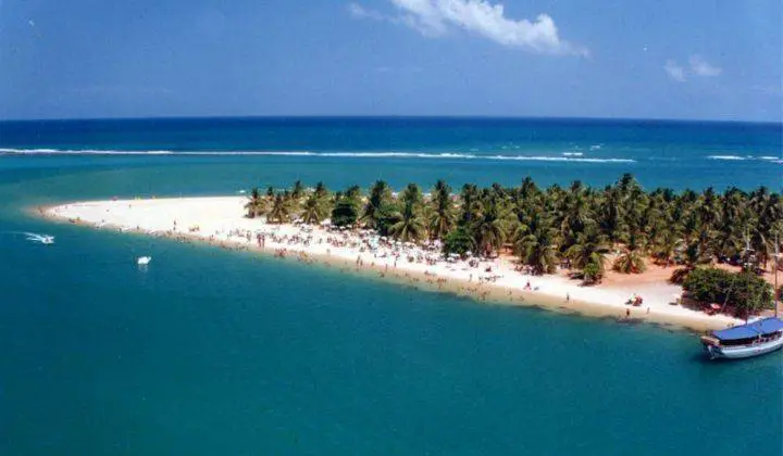 Praias Alagoas Viagem Litoral